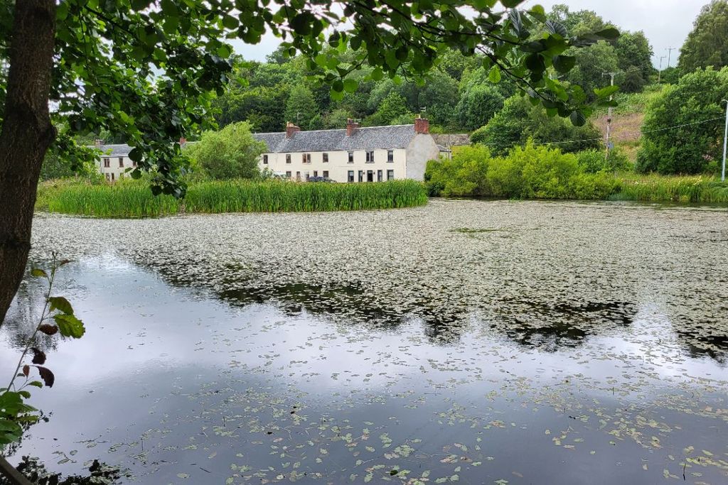 Additional image 6 of Land for saleTam Oshanter, Plot 3, Poets Rest, Catrine KA56Sw KA5