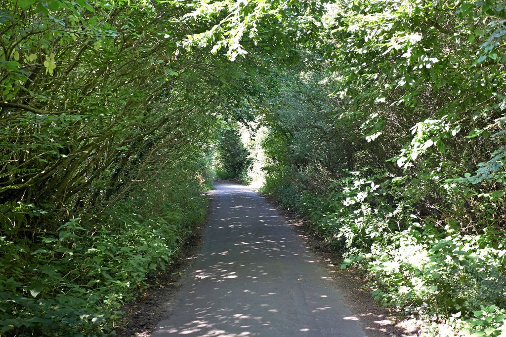 Additional image 22 of 6 bed detached house for saleLodge Hill Lane, Ditchling BN6