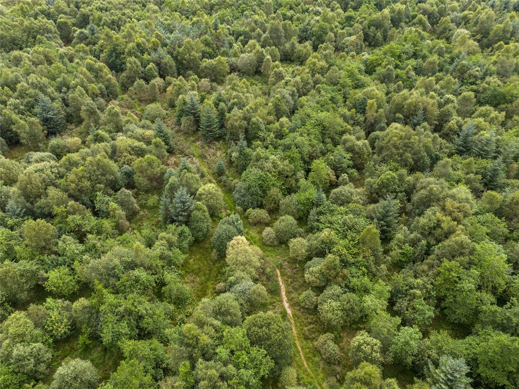 Additional image 8 of Land for saleBorland Wood, Gartmore, Stirling, Stirlingshire FK8