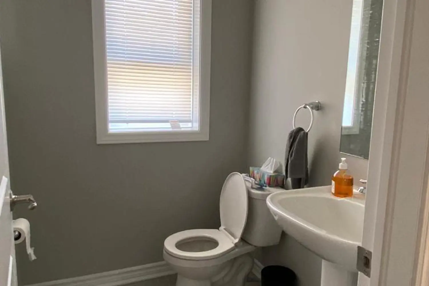 Additional image 11 of 507 Nordmann Fir Court