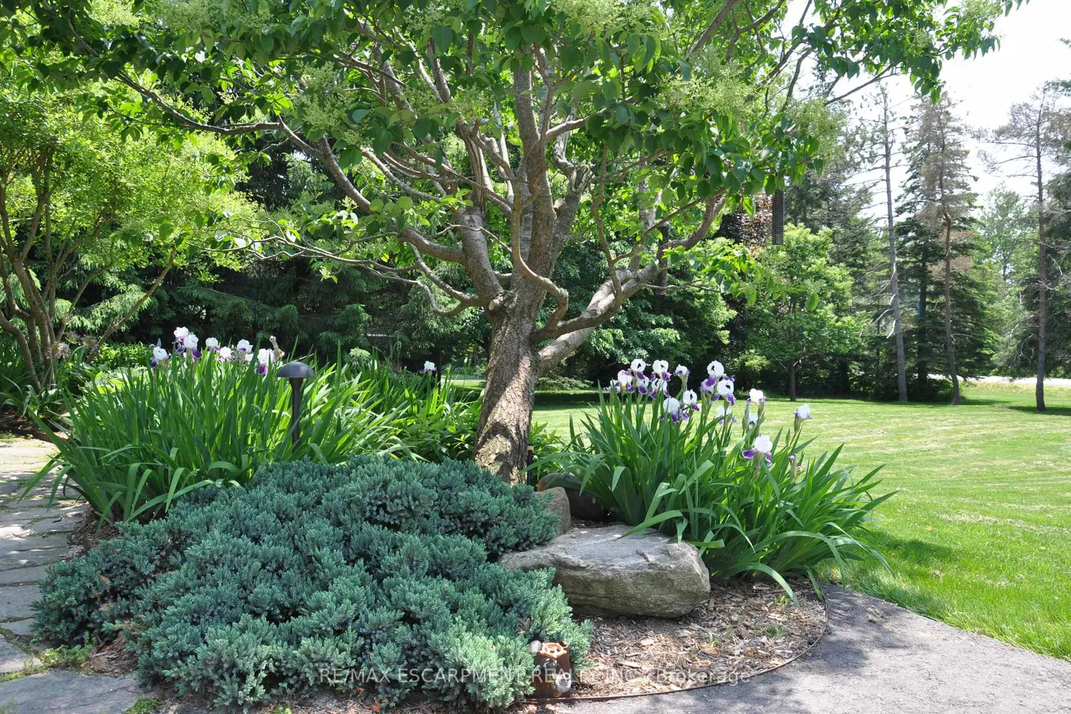 Additional image 14 of 19231 Shaws Creek Road