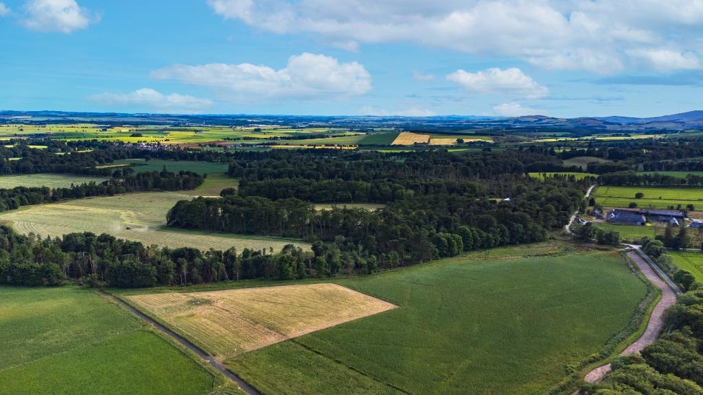Additional image 7 of Fasque Estate, Aberdeenshire, AB30