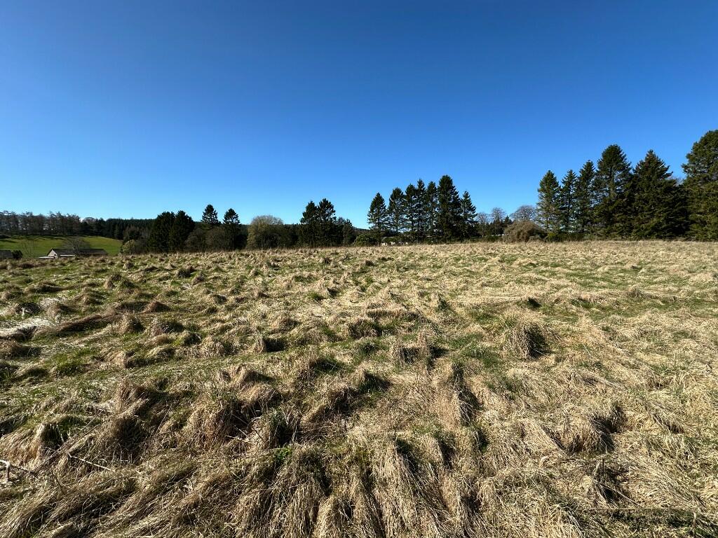 Additional image 4 of Plot 1 Muir of Fowlis, Alford, AB33 8JX