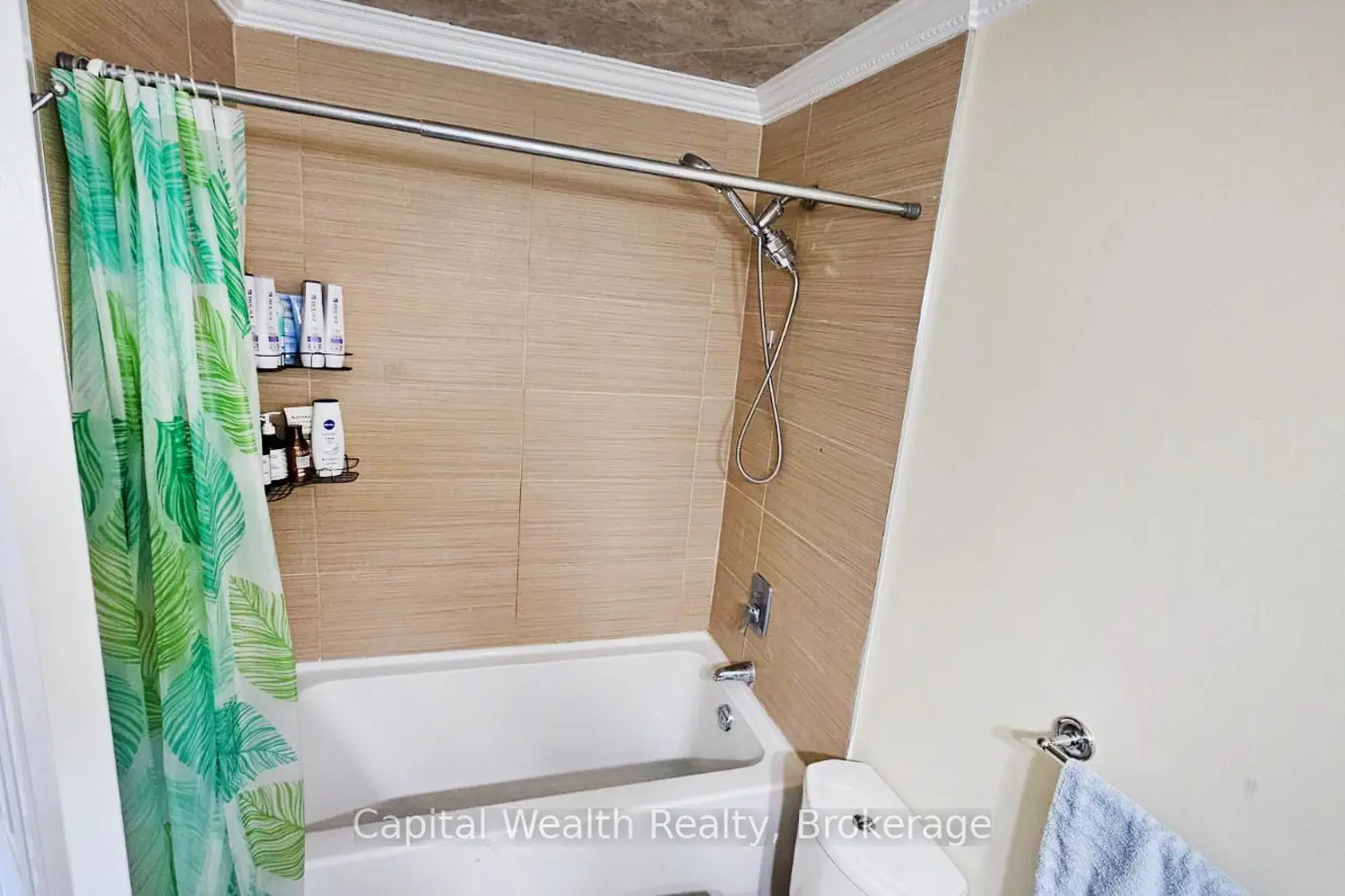 Additional image 11 of 201 Hanmer Street