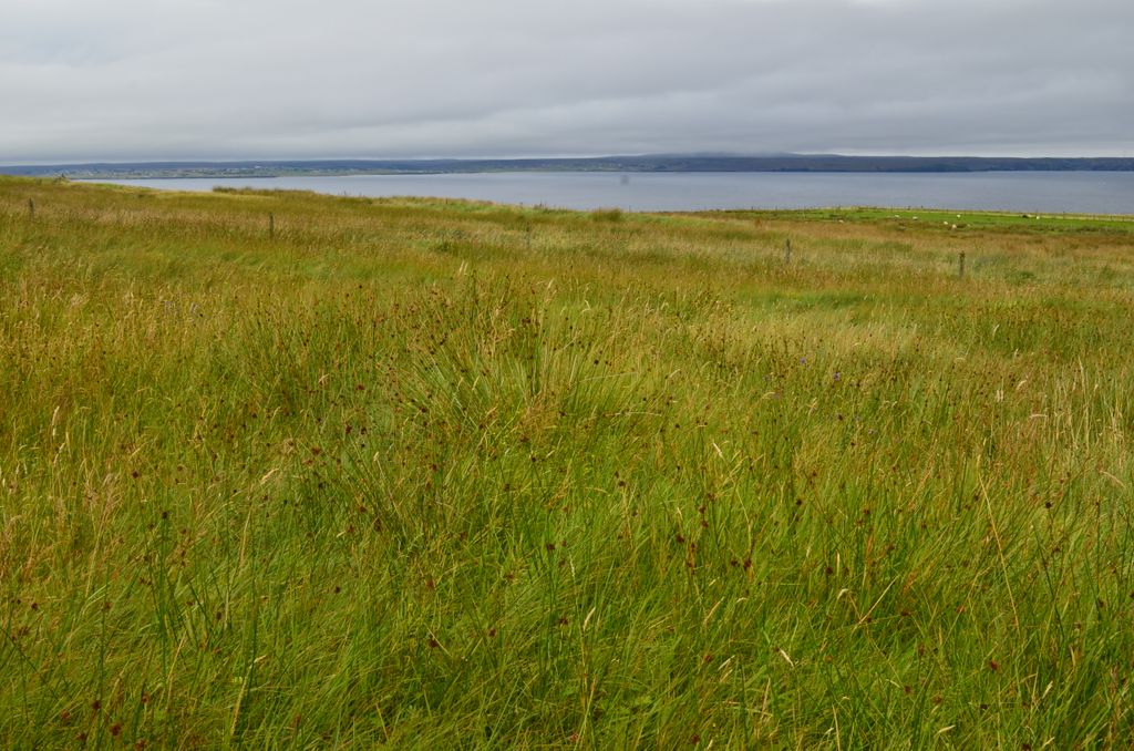 Additional image 23 of Land for saleShulishader, Isle Of Lewis HS2
