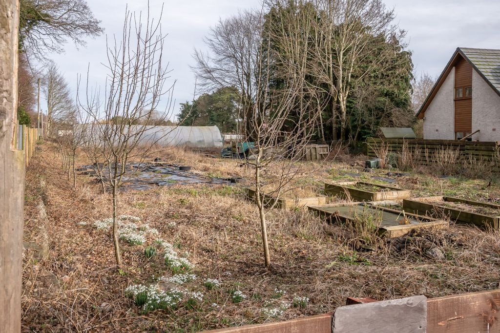 Land for saleBogside Road, Coupar Angus, Perthshire PH13