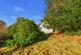 Additional image 32 of Tamh Na H’eala, Inverawe, Taynuilt, Argyll
