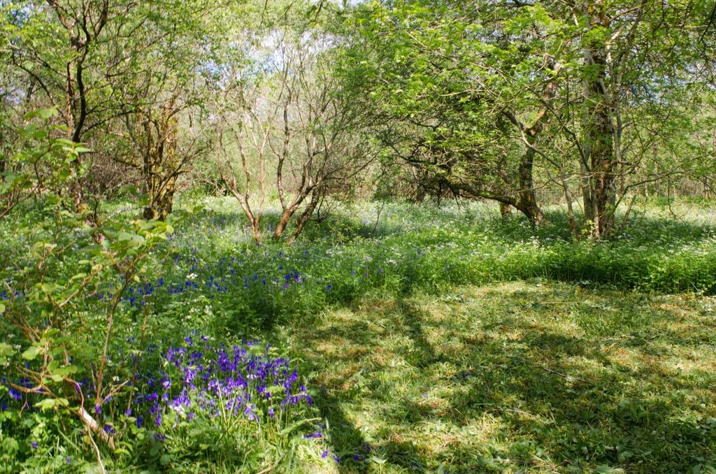 Land for saleKilmichael Glassary, Lochgilphead PA31