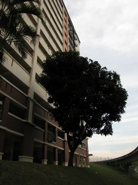 Additional image 14 of 437 Fajar Road