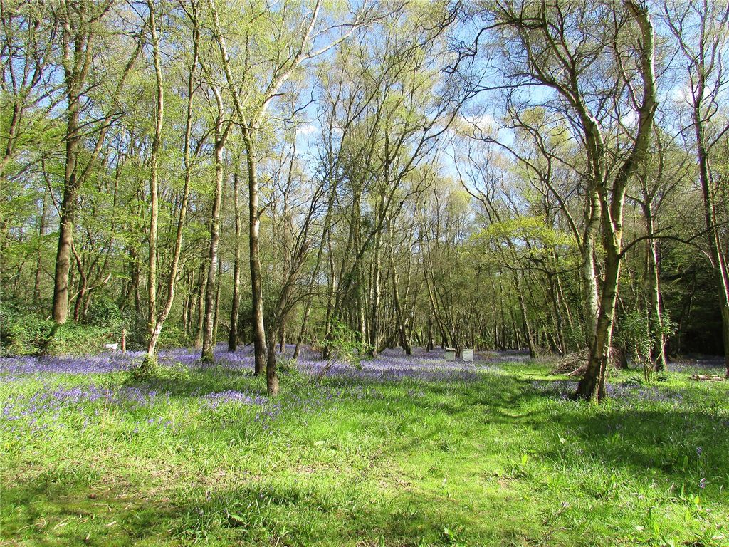 Additional image 10 of Land for saleGolf Club Lane, Piltdown, Uckfield, East Sussex TN22