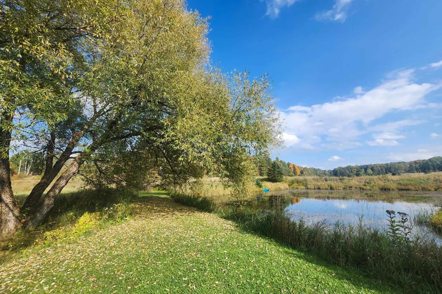 1524 Hekkla Road photo 4