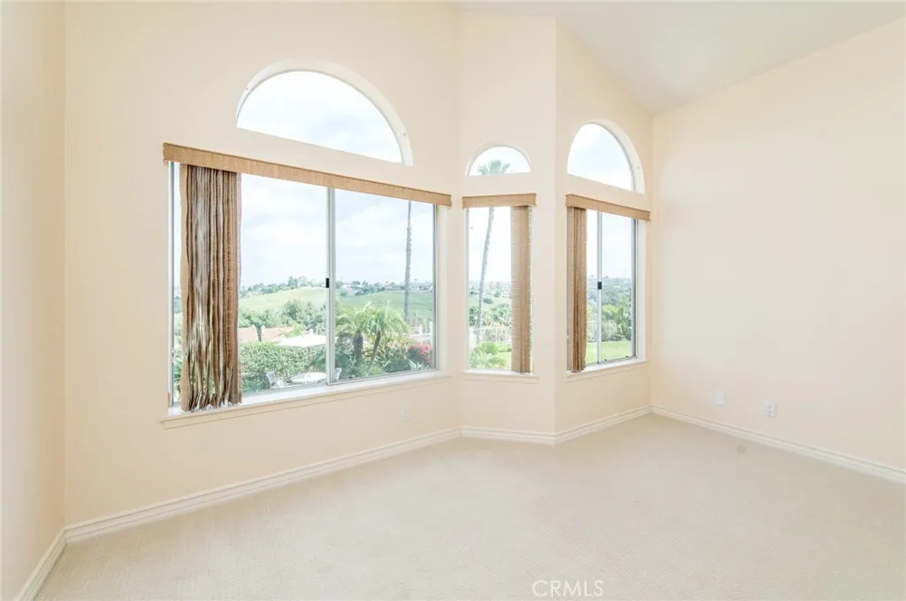 Additional image 61 of 29206 Alfieri St, Laguna Niguel, CA 92677