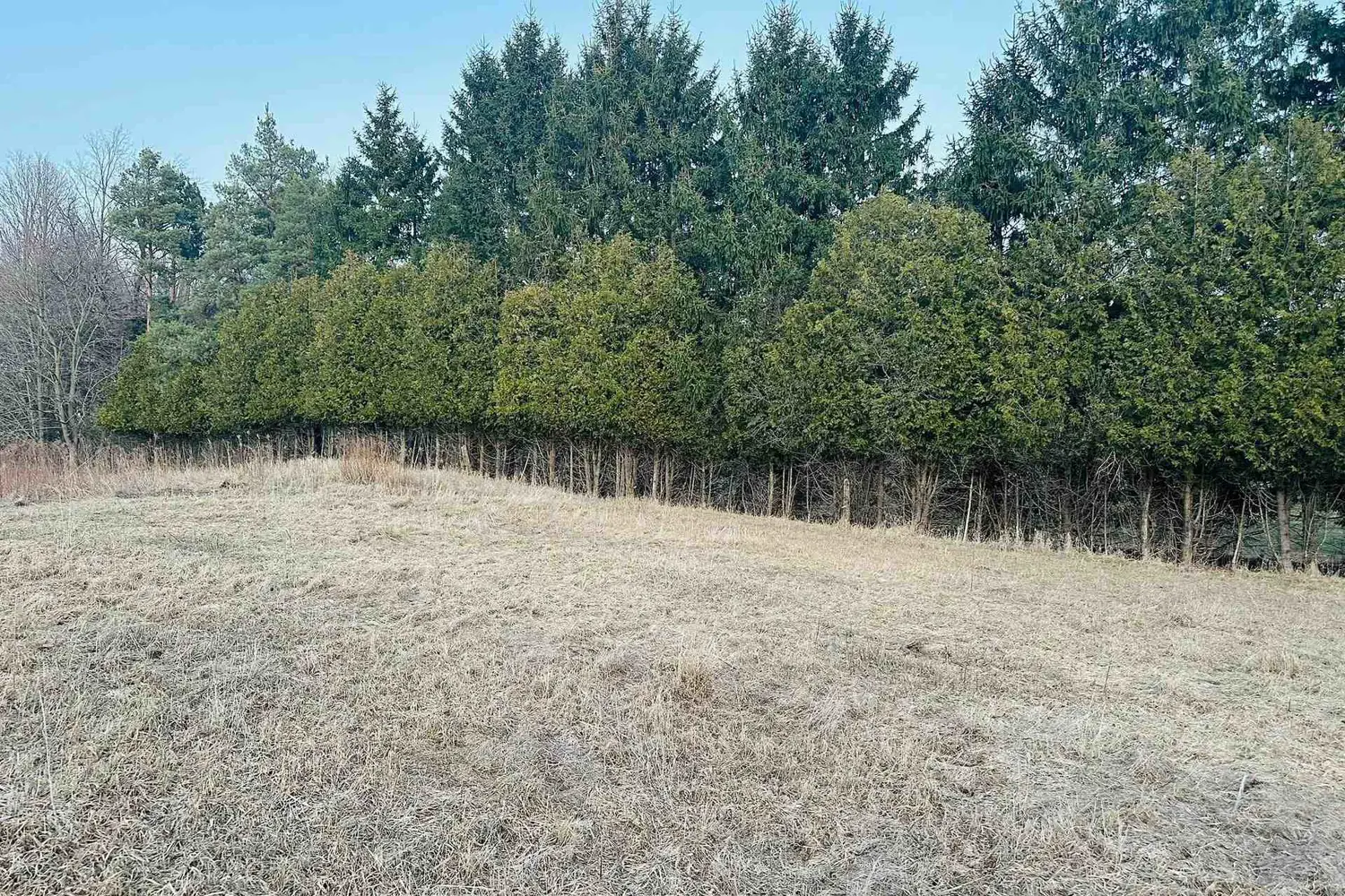 Additional image 6 of 10231 Old Pinecrest Road