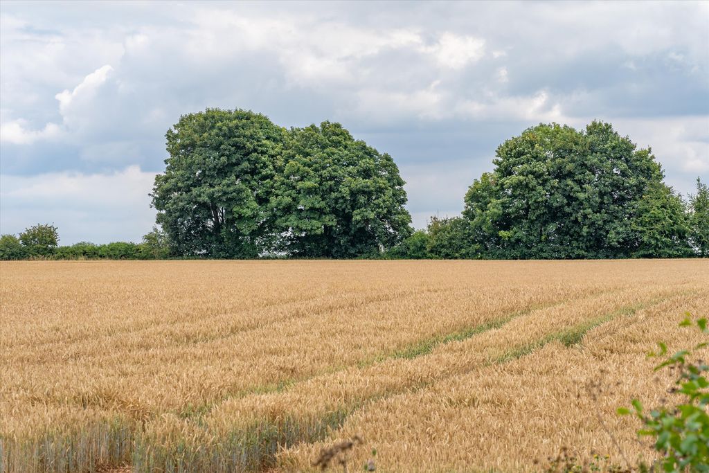 Land for saleLand At Ashley (Lot3), Tetbury, Gloucestershire GL8