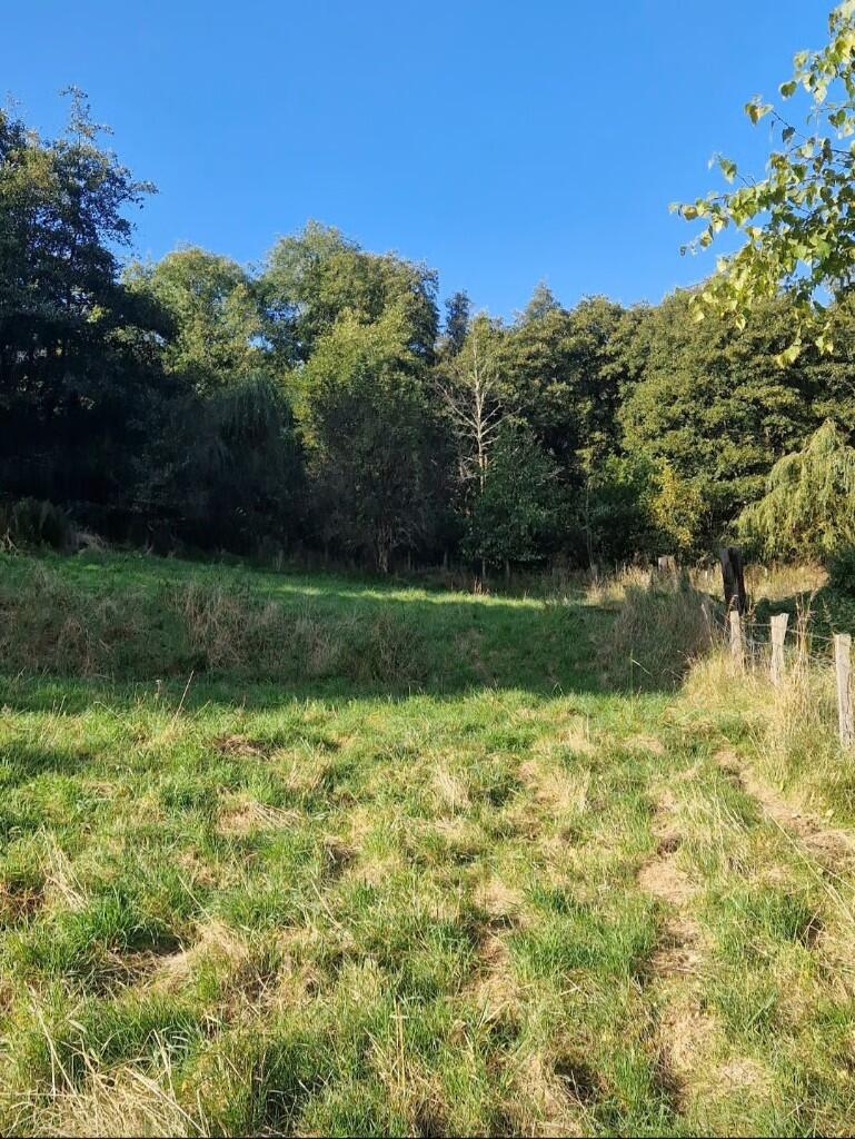 Additional image 5 of Building Plot At Hillside House, Rothes, Aberlour, Moray, AB38 7AQ