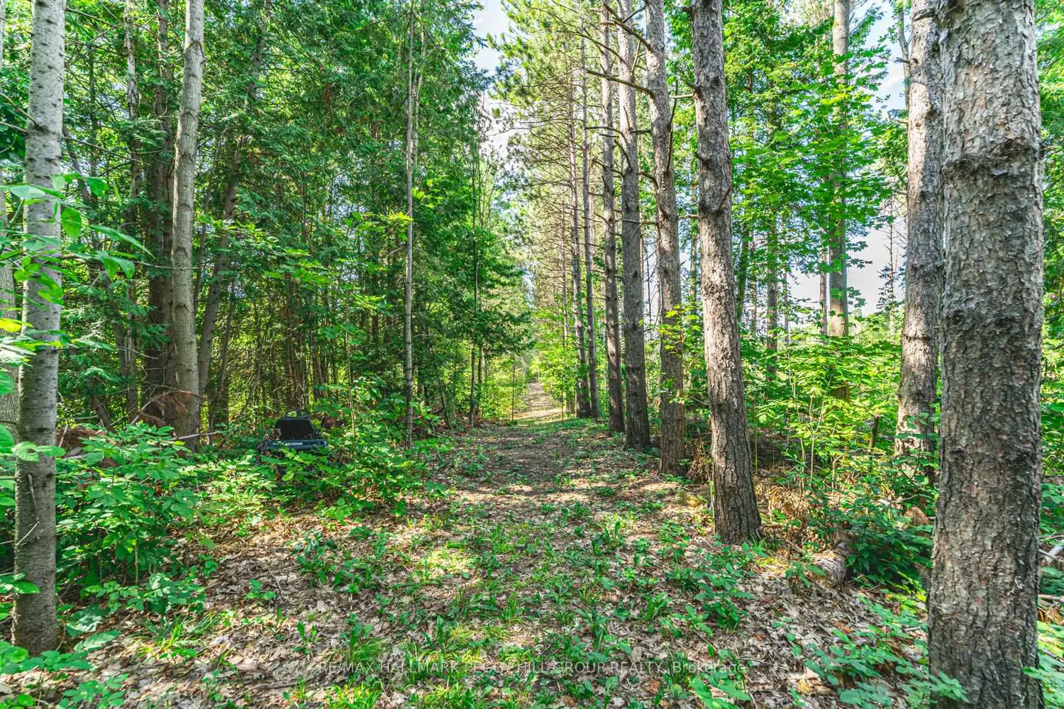 Additional image 15 of 3891 9 Line