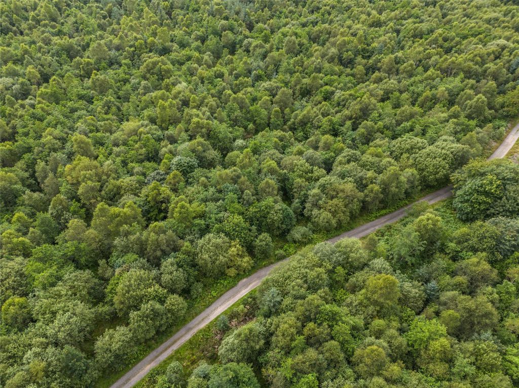 Additional image 4 of Land for saleBorland Wood, Gartmore, Stirling, Stirlingshire FK8