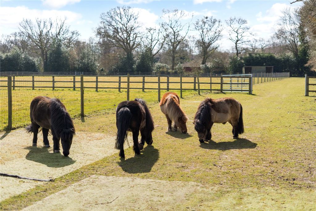 Additional image 16 of 5 bed equestrian for saleInkpen Common, Inkpen, Hungerford, Berkshire RG17