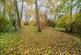 Additional image 35 of Brimfield, Ludlow, SY8