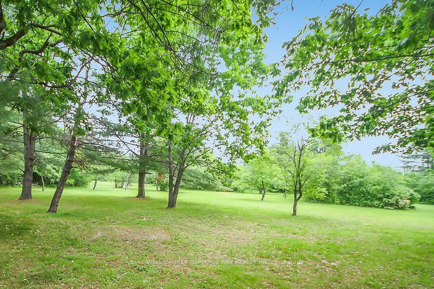 Additional image 19 of 222 North Road