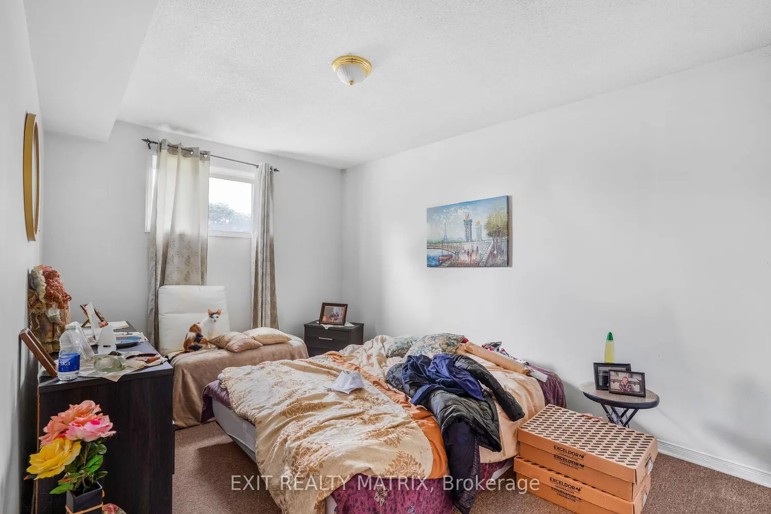 Additional image 19 of 1013 Jacynthe Street