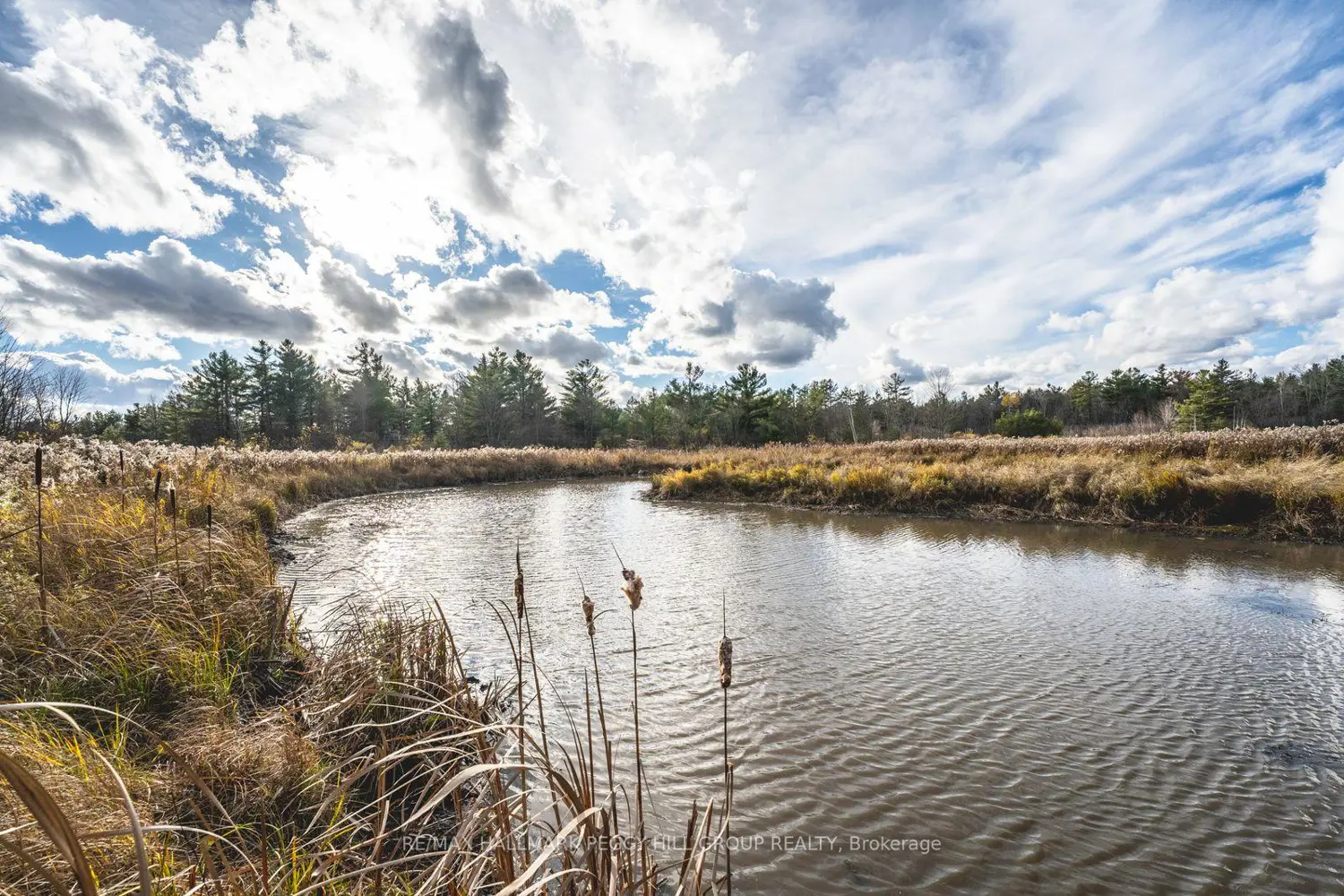 Additional image 17 of 2504 Fairgrounds Road