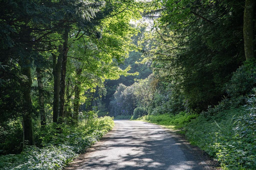 Additional image 8 of Land for salePlot 1, Former Alva House, Woodland Park, Alva FK12