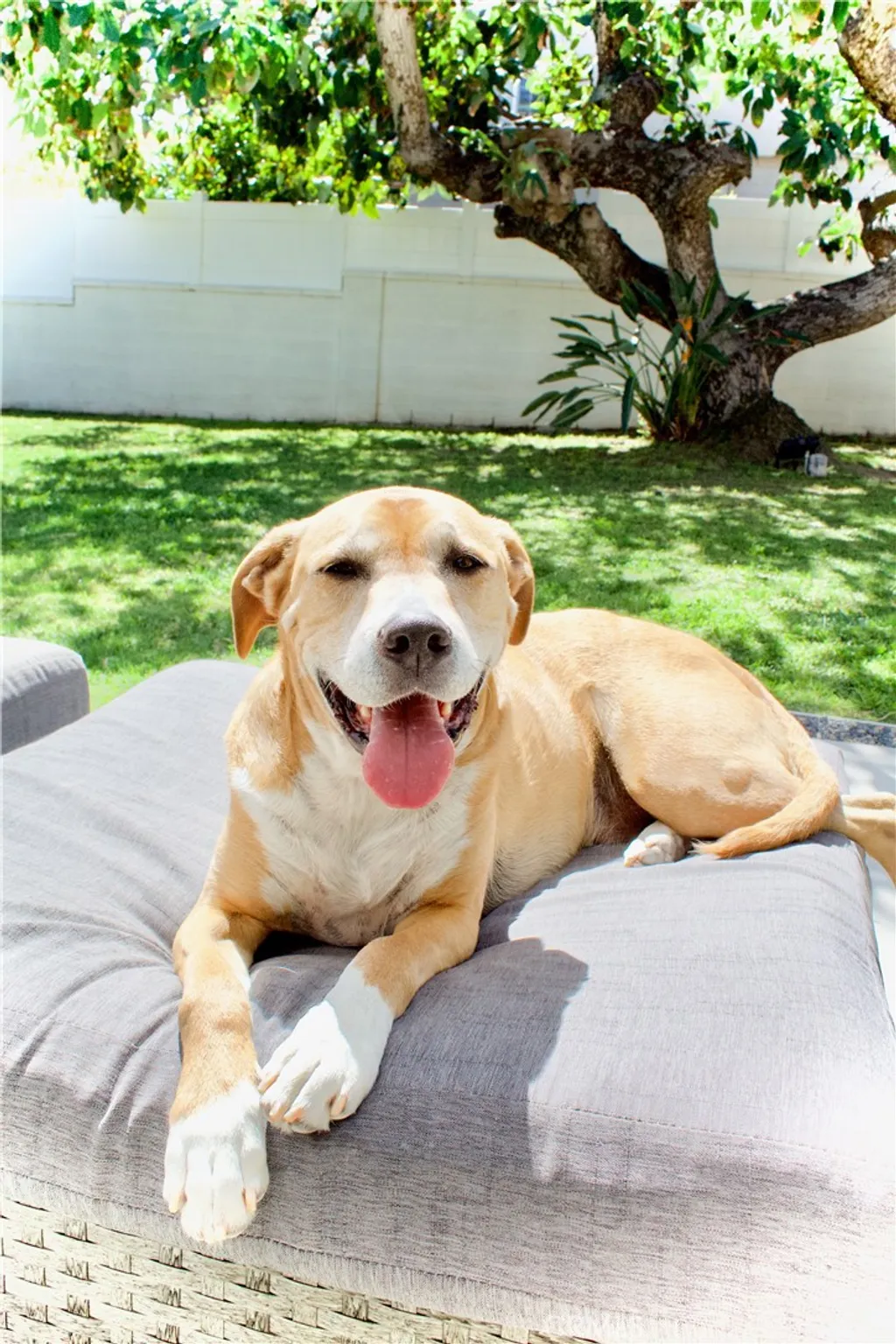 Additional image 39 of 8727 Glider Ave, Los Angeles, CA 90045