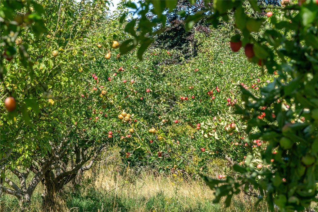 Additional image 41 of 7 bed equestrian for saleThe Whole | Hillfields Farm, Lower Basildon, Reading, Berkshire RG8