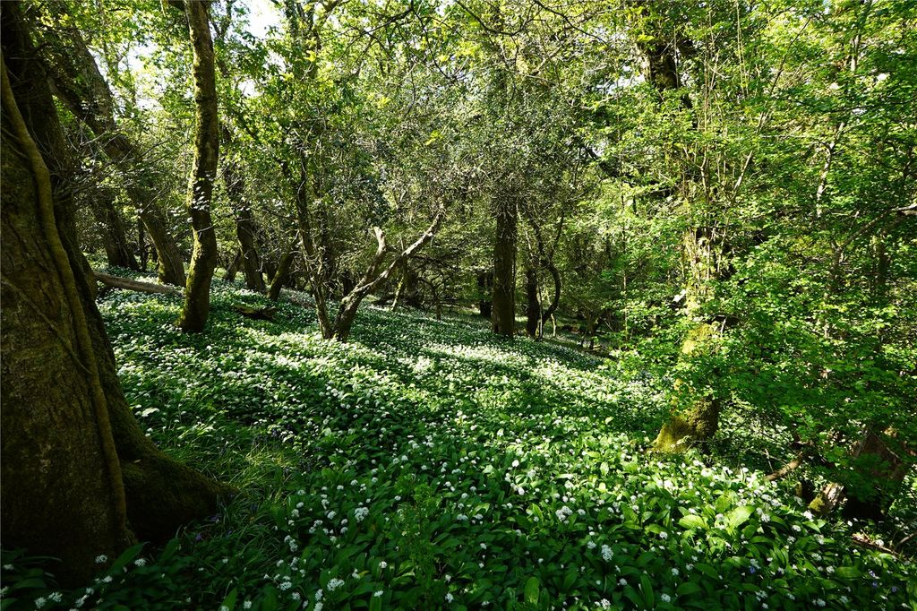 Additional image 5 of Land for saleSt. Keyne, Liskeard, Cornwall PL14