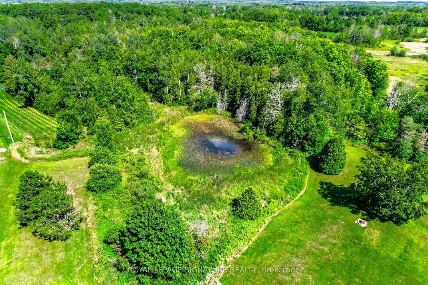 Additional image 20 of 9 Elite Road