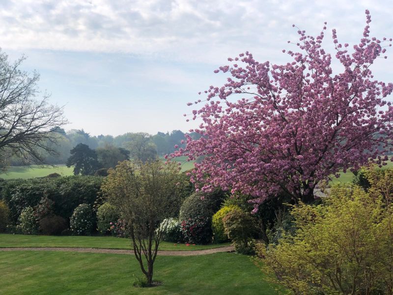 Additional image 23 of 3 bed flat for salePriory Road, Ascot SL5