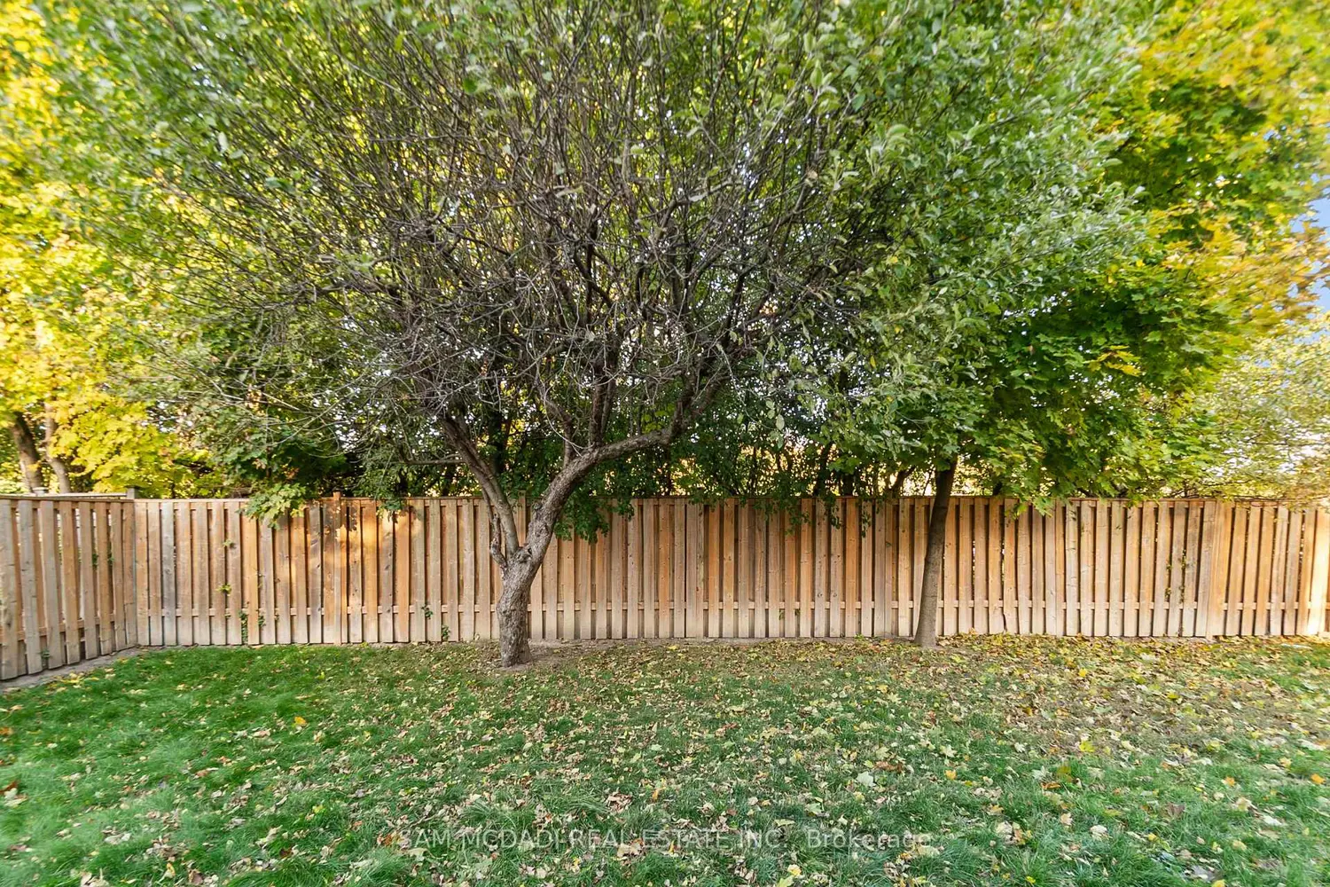 Additional image 17 of 44 Madrid Crescent