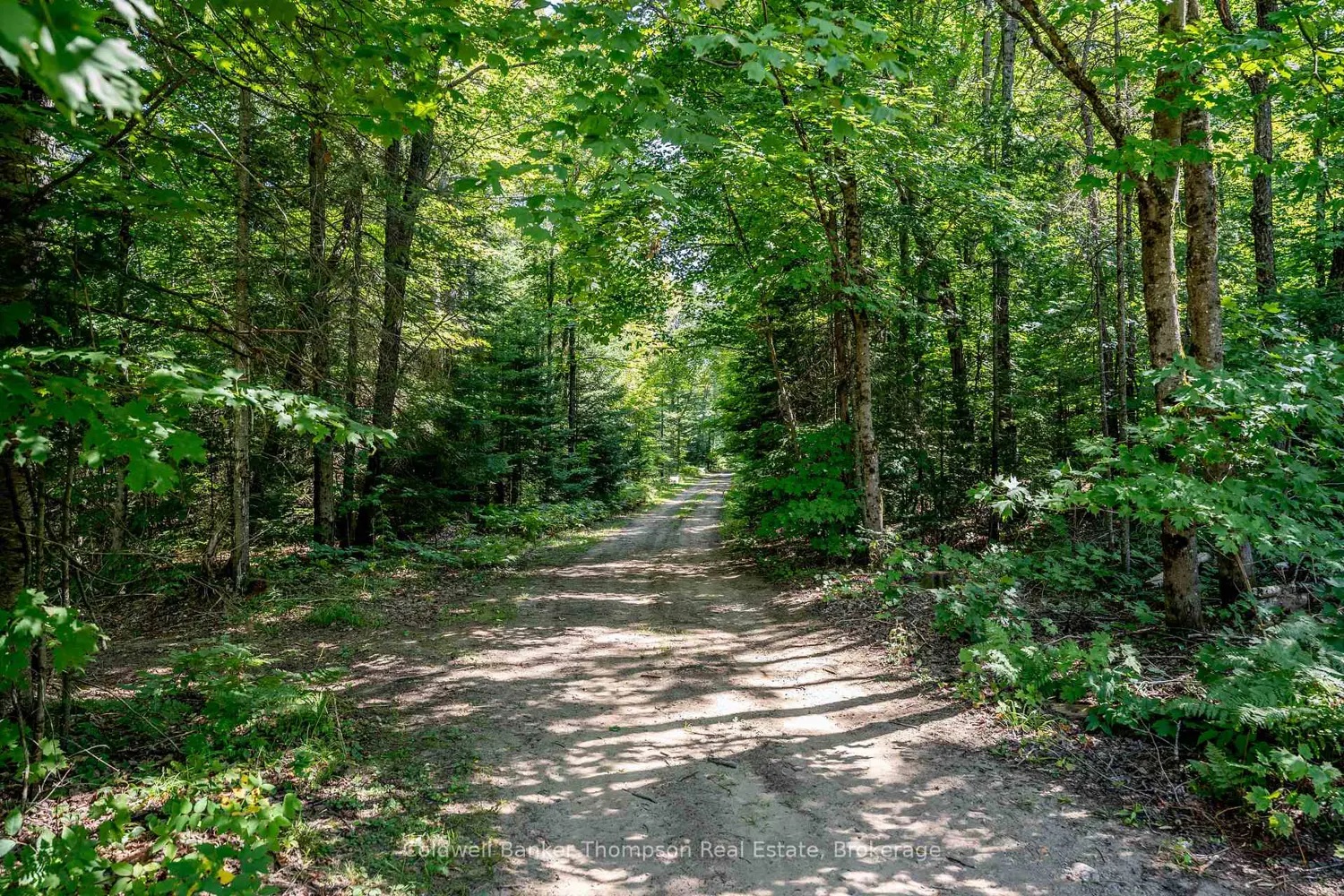 Additional image 19 of 57 Rattray Road