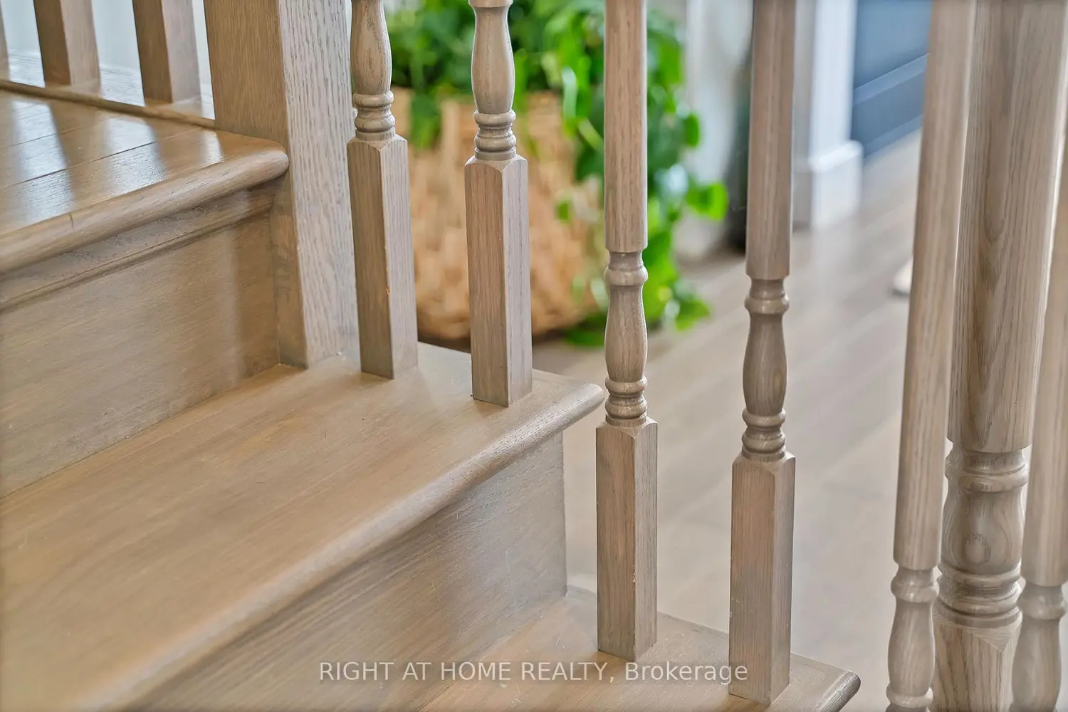 Additional image 8 of 61 Alexandra Drive