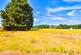 Additional image 19 of Development Opportunity, Great Bardfield
