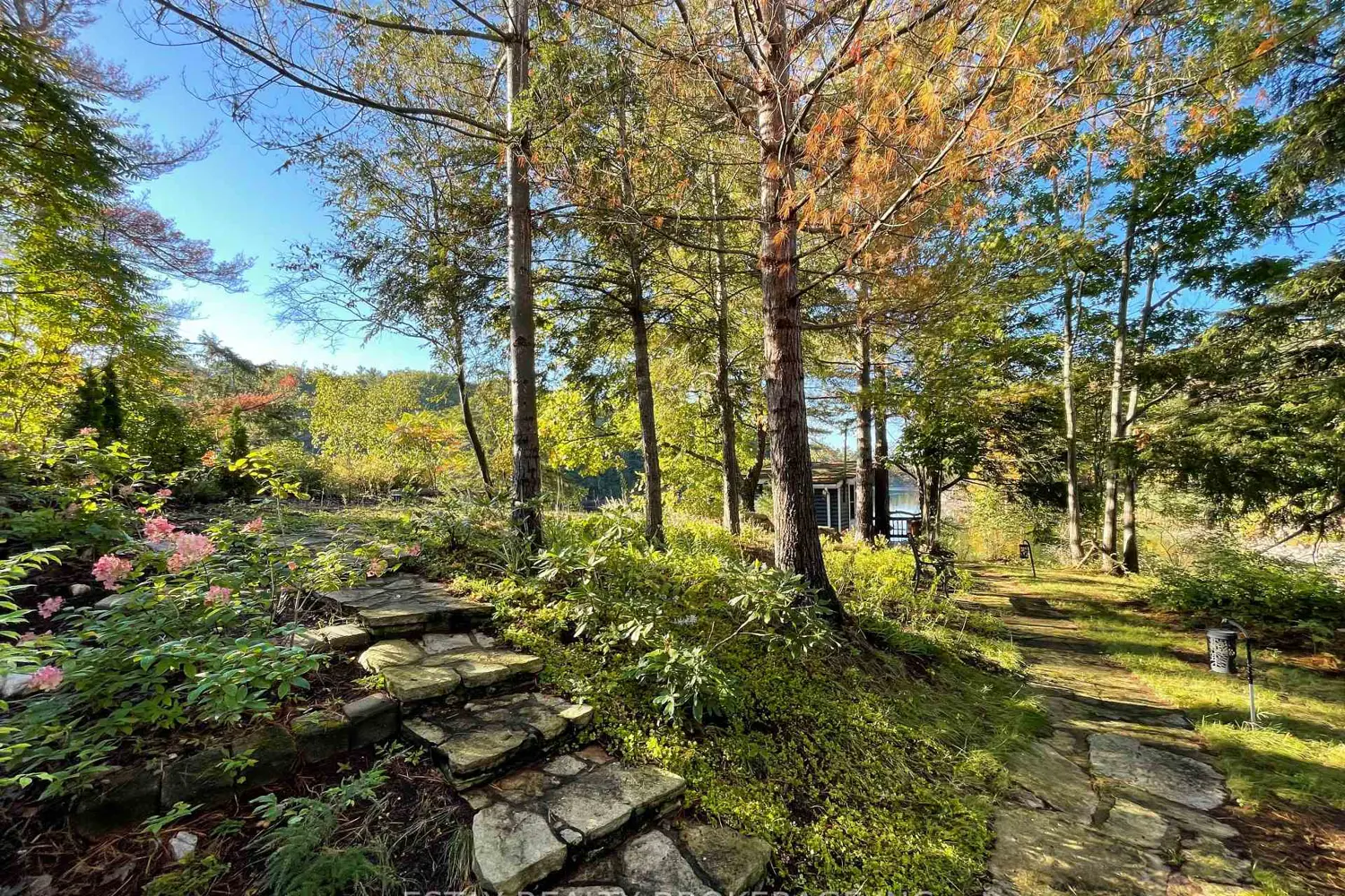 Additional image 4 of 1 Island 60