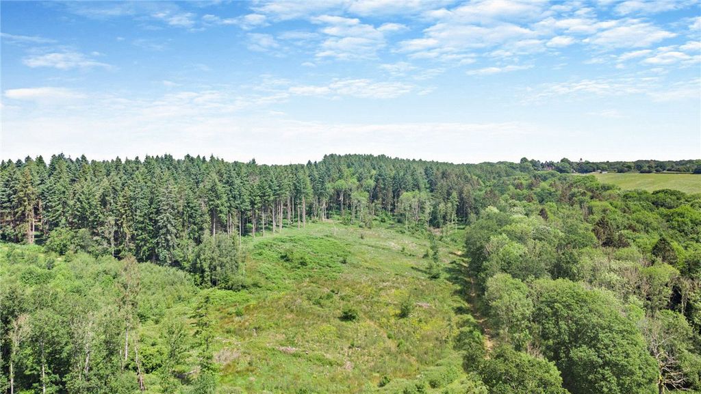 Additional image 2 of Land for saleBroad Lane, Upper Bucklebury, Reading, Berkshire RG7