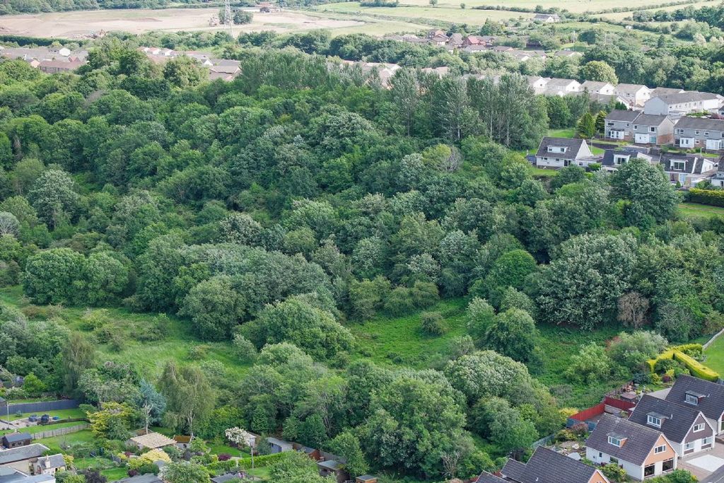 Additional image 5 of Land for saleJeffrey Terrace, 10.68 Acre Woodland, Polmont, Falkirk FK20Ra FK2