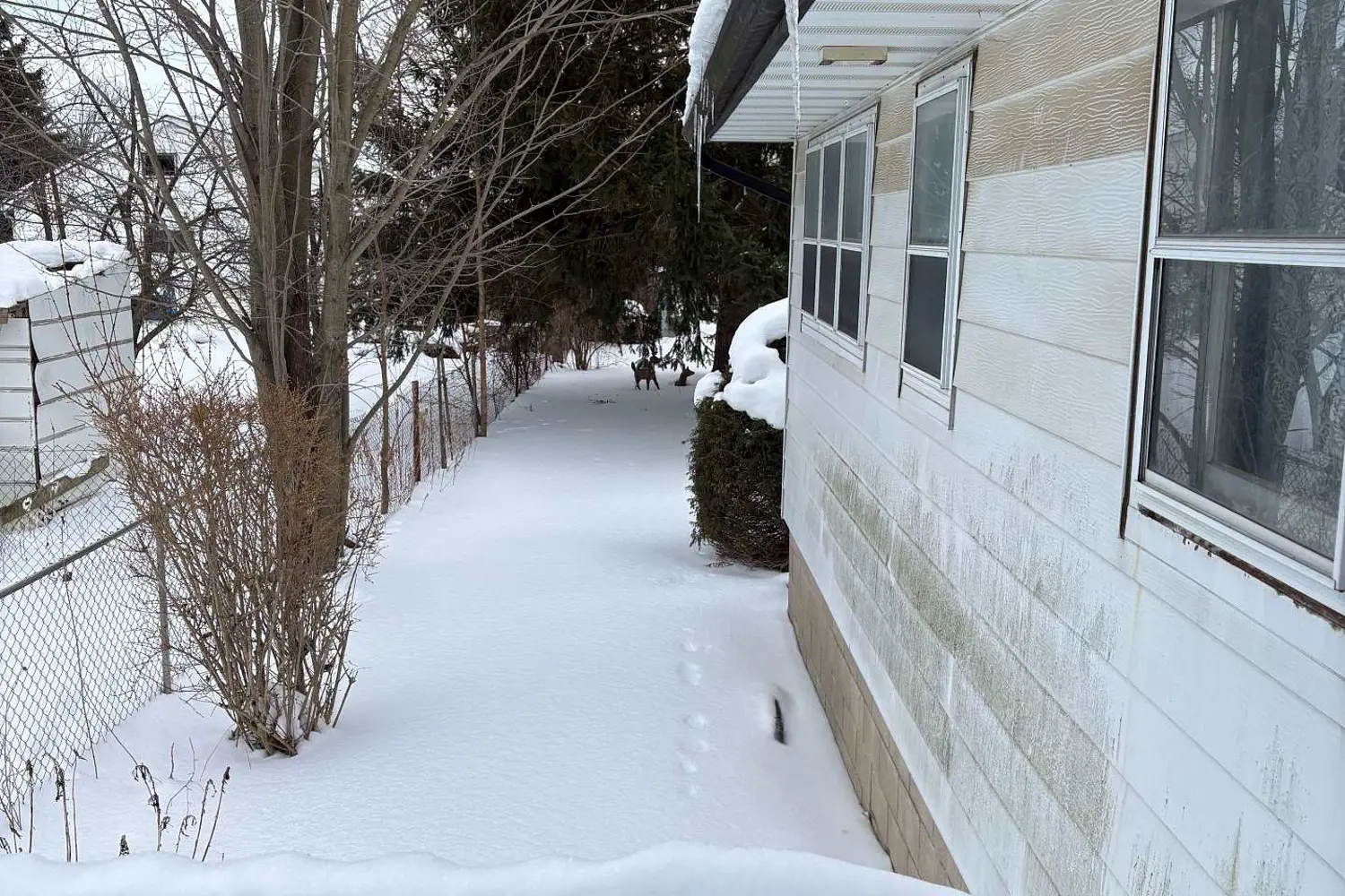 Additional image 13 of 21 Mill Lane