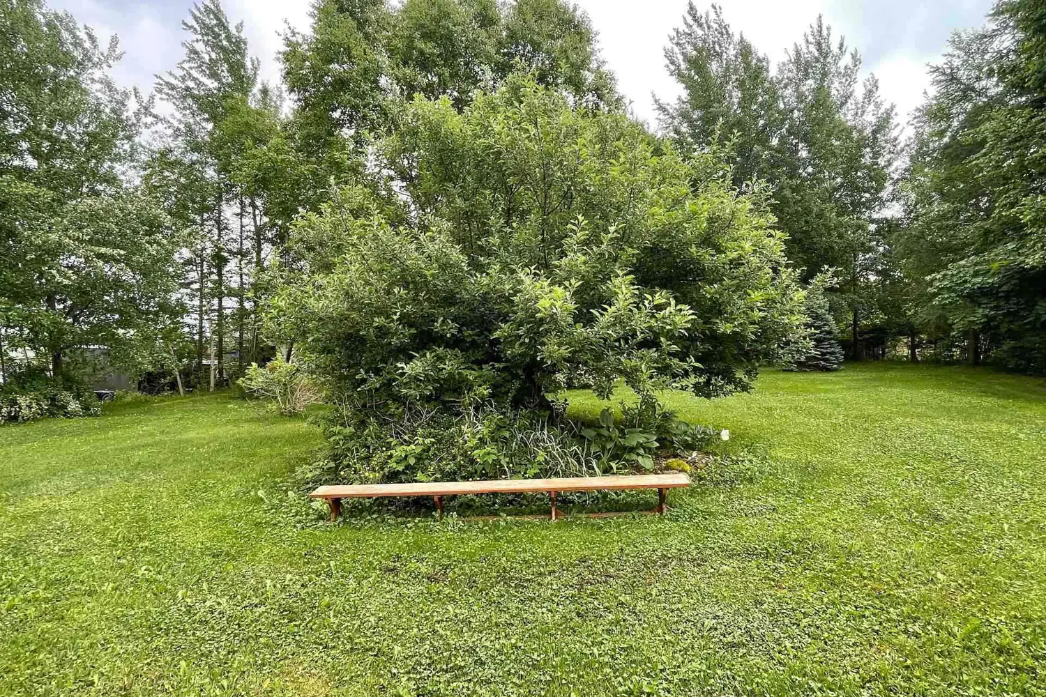 Additional image 19 of 26 Main Road