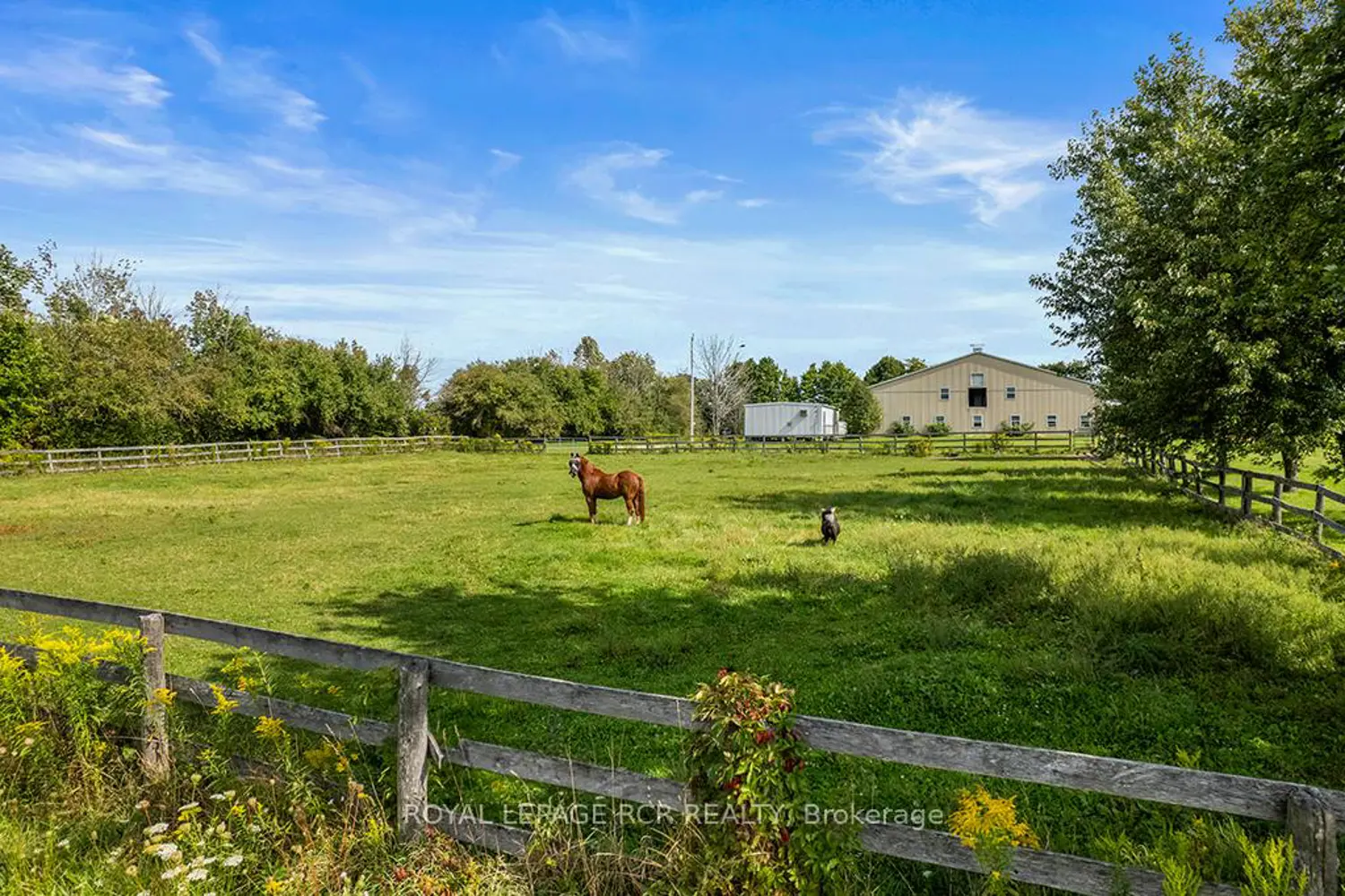 Additional image 16 of 5706 Third Line