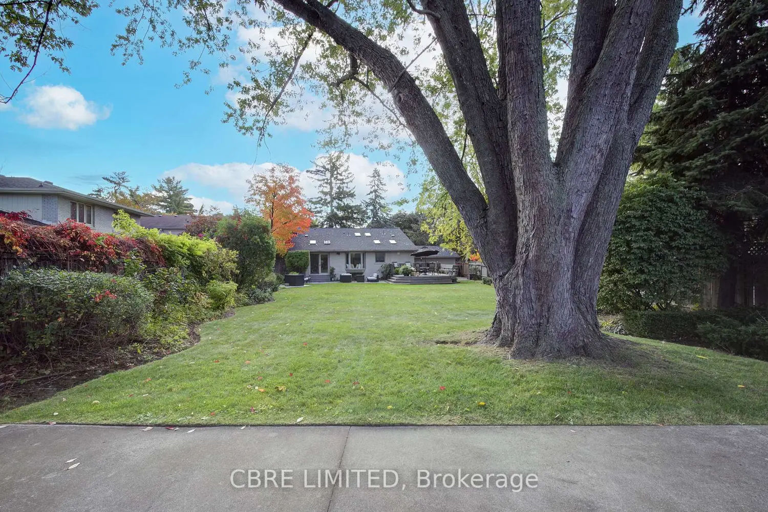 Additional image 19 of 1385 Birchwood Drive