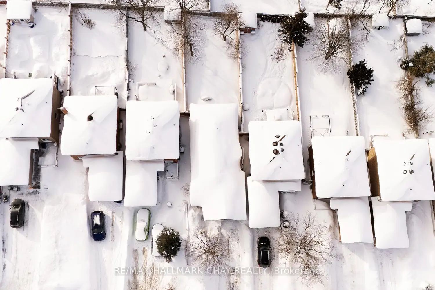 Additional image 20 of 35 Geddes Crescent