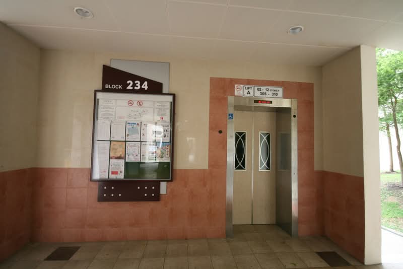 Additional image 11 of 234 Jurong East Street 21