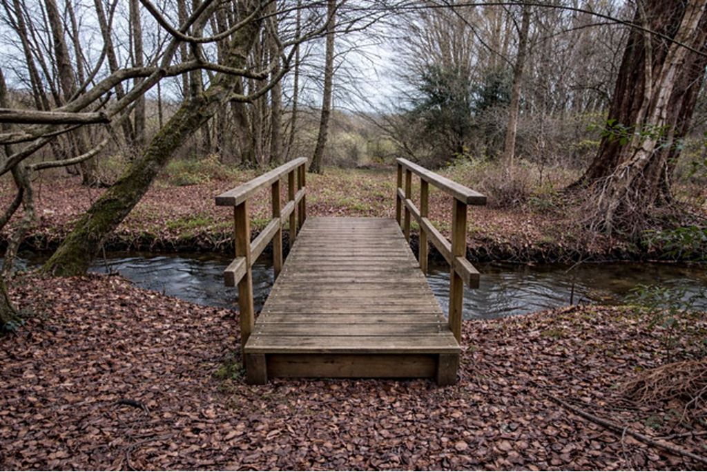 Land for salePlot Old Burn, Sundrum Castle Estate, Ayr KA65Jh KA6 photo 3