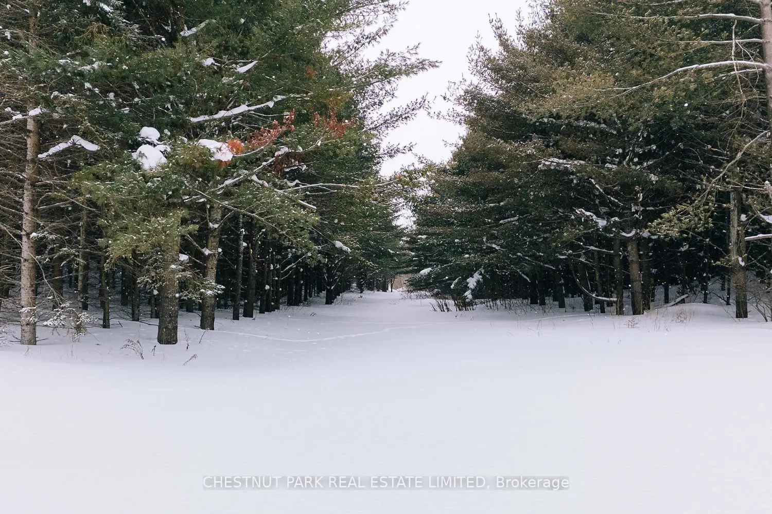 Additional image 19 of 675528 Hurontario Street