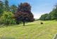 Additional image 2 of PRESTEIGNE  LD8 2LU