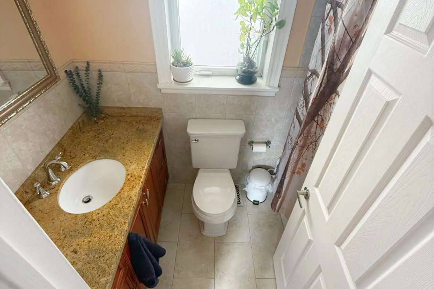 Additional image 6 of 449 Gilbert Avenue