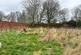 Additional image 6 of The Hayloft, former stables and coach house